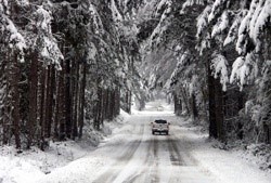 winter